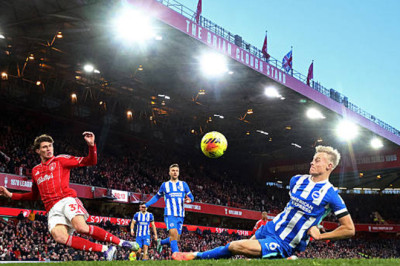 Catatan Statistik Jelang Brighton vs Nottingham Forest di Premier League